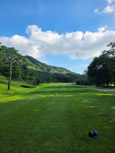 결론부터 말씀드리면 블루원 용인, 정말 만족스러운 구장 이미지 1