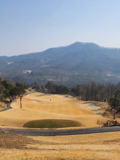 여주 360CC 새벽7시15분 이제 완연한.봄이 왔네요 이미지 1