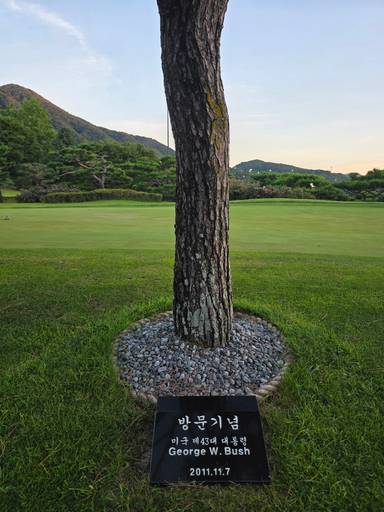 결론부터 말씀드리면 블루원 용인, 정말 만족스러운 구장 이미지 3
